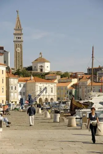 Max Piran