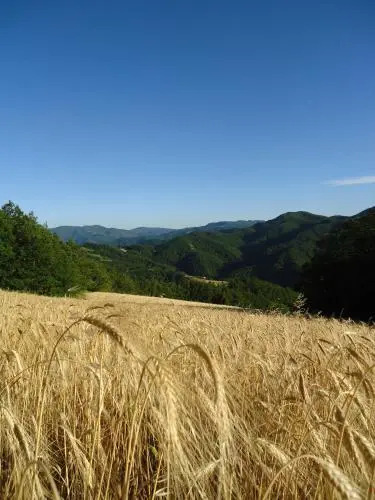 Agriturismo I Monti di Salecchio
