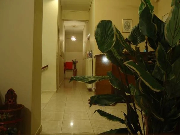 Hotel George