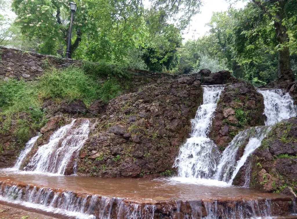 Bozquez Rural