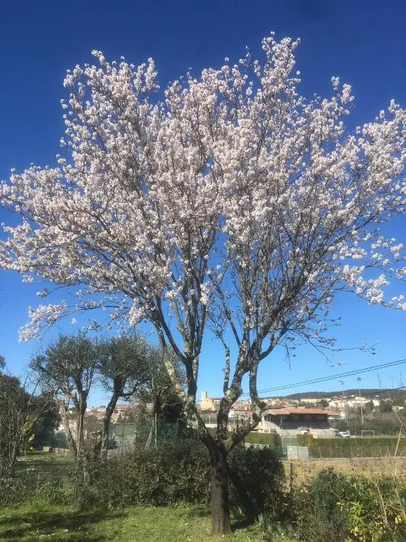 Le Petit Paradis