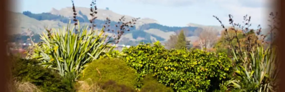 Havelock North Holiday Park