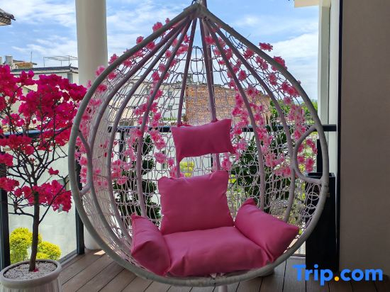 Dali Mini Designer Influencer Garden Homestay