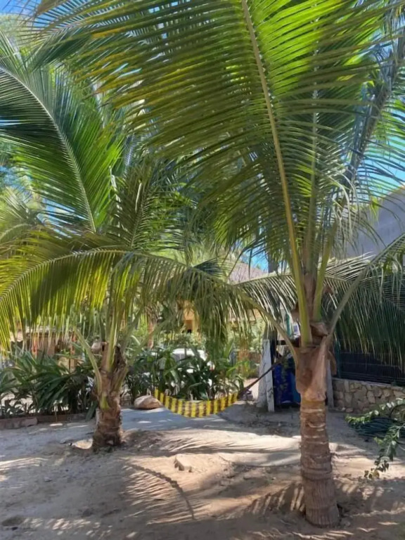 Hostal Punta Paraíso Cabañas