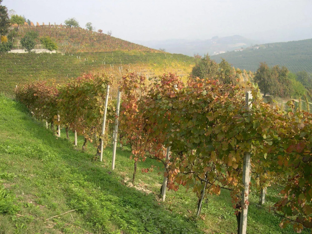 Casa Barbabuc