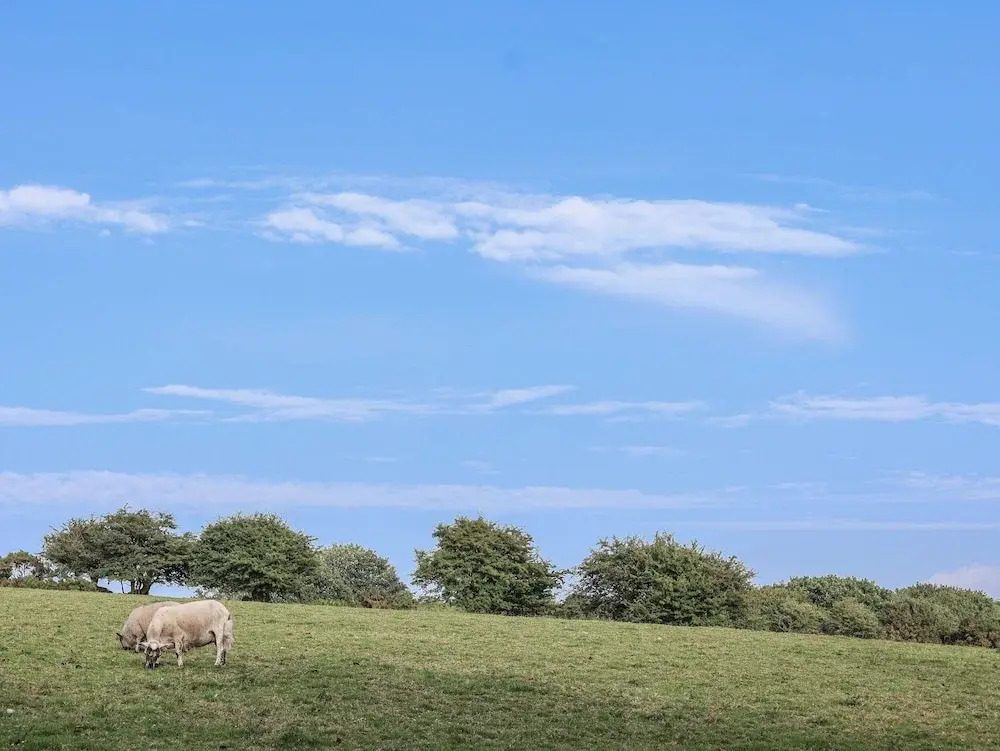 The Byre