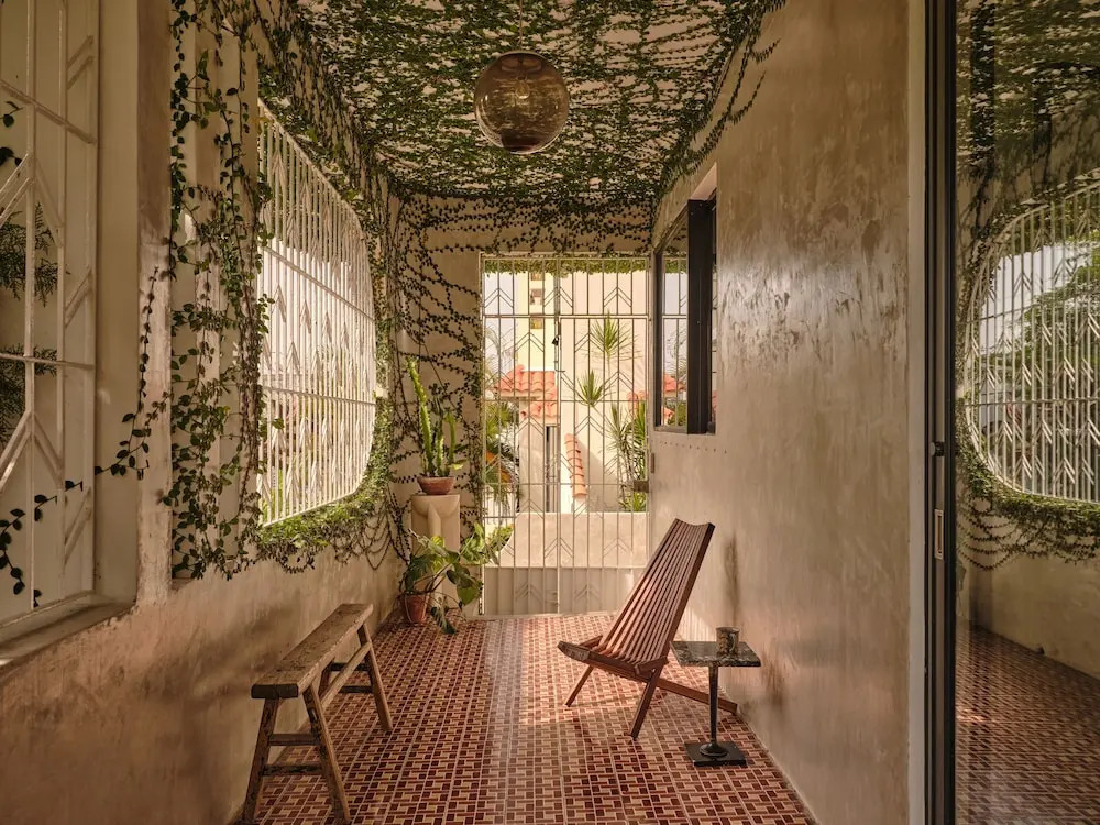 CASA FRIDA by DW