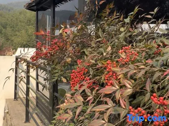Moganshan Zedu'erqi Homestay