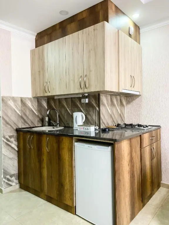 Horizont Bakuriani Apartment 32