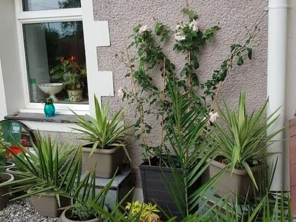 Garden Hotel