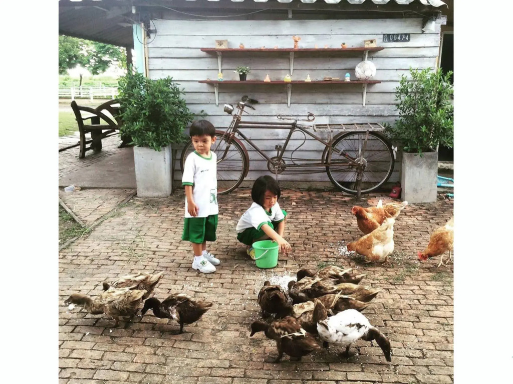 Wanlapa Farmstay