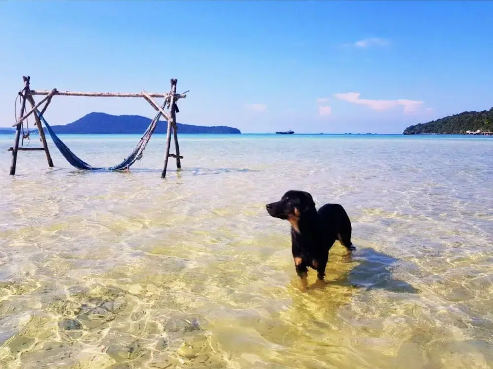 Dolphin Bay resort