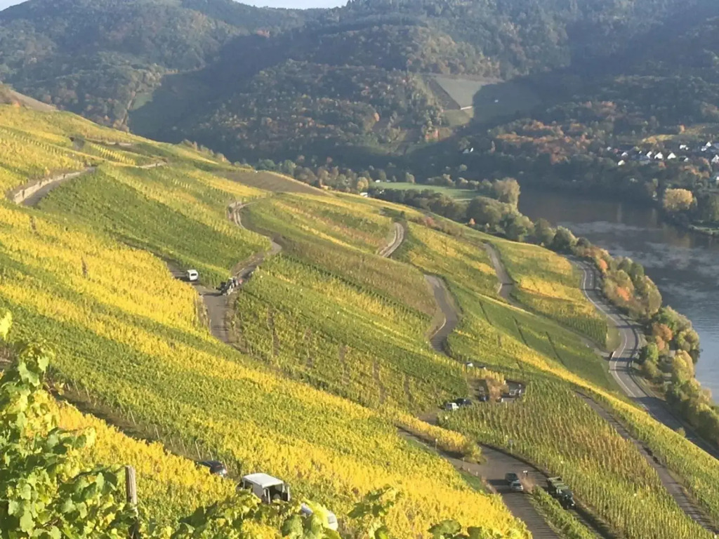 SYBILLE KUNTZ Weingut Gästehaus