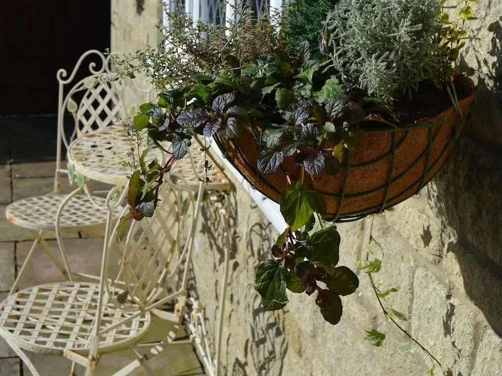 Observers Rest
