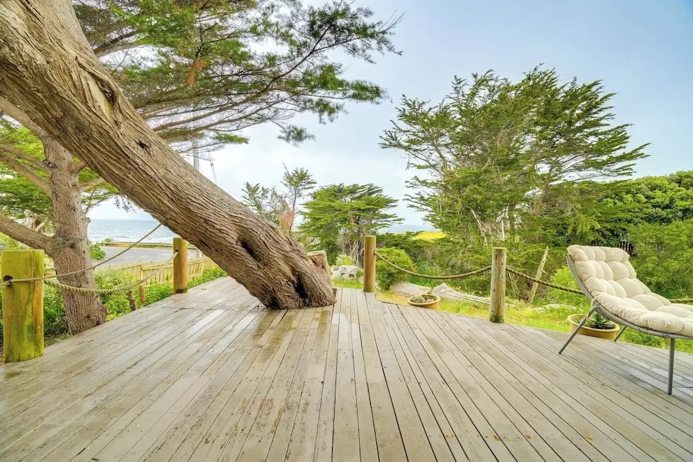 Moss Beach Oceanfront Retreat ~ 20 Mi to San Fran!