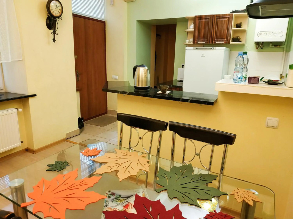 Lviv City Apartment