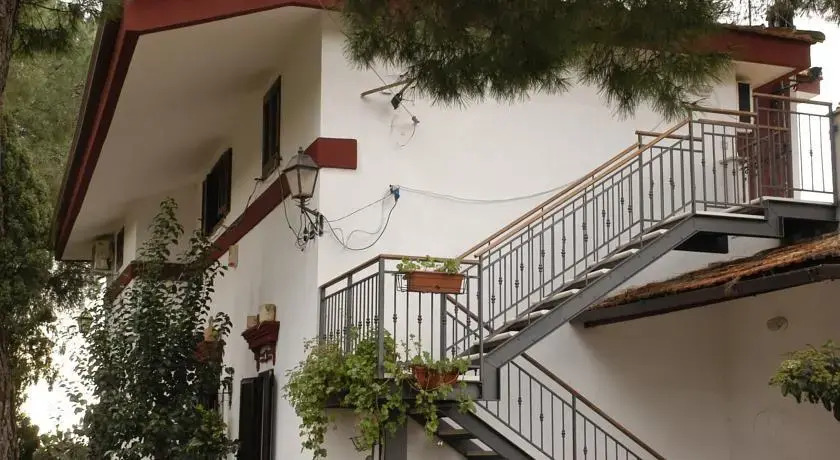 Ombra dei Pini