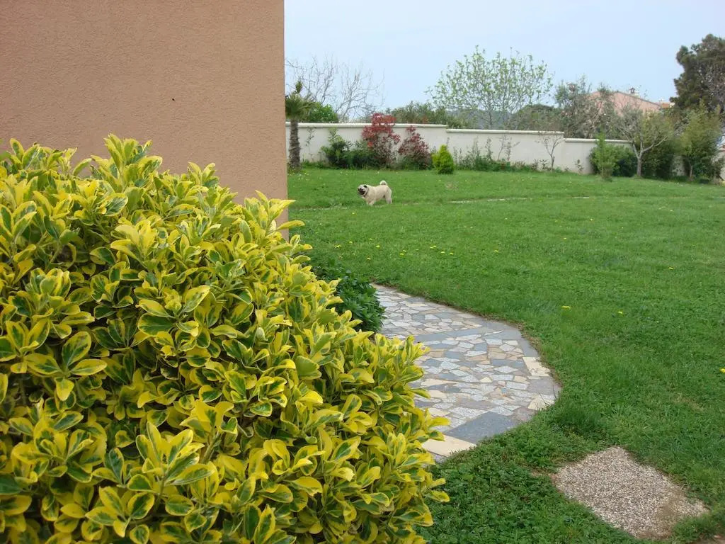 Bonvenon2Volme Apt&Room