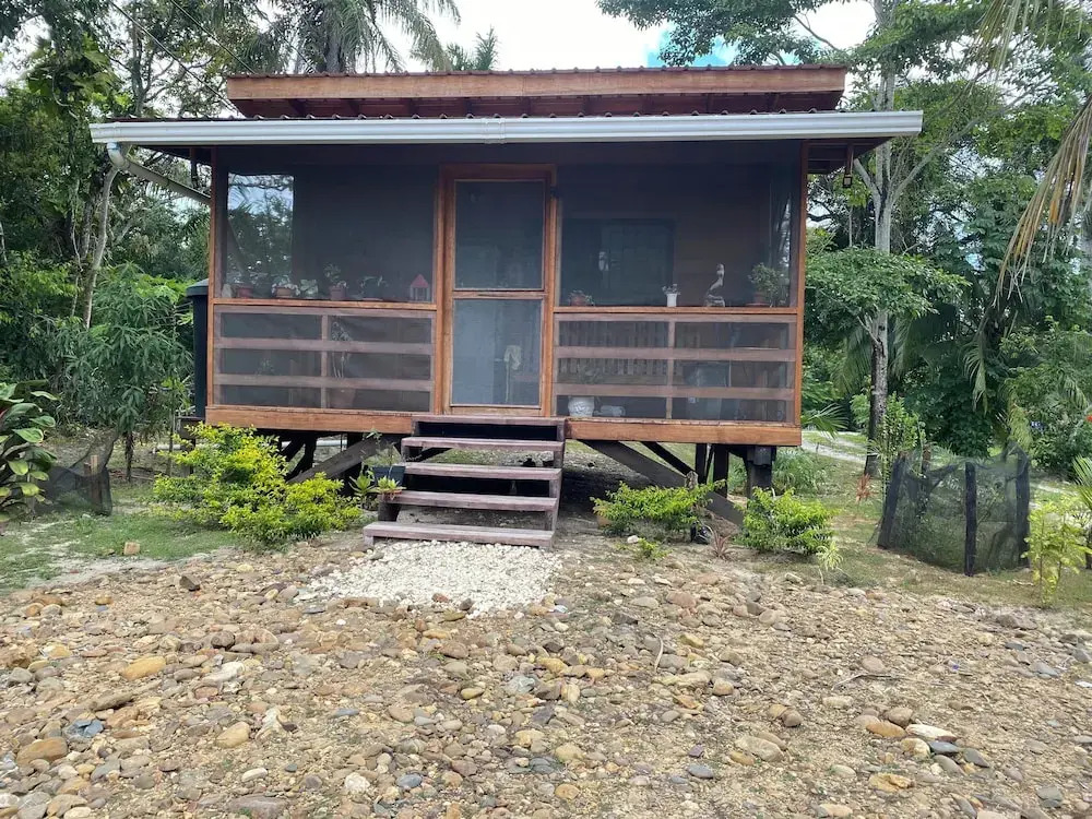 Howler Jungle House