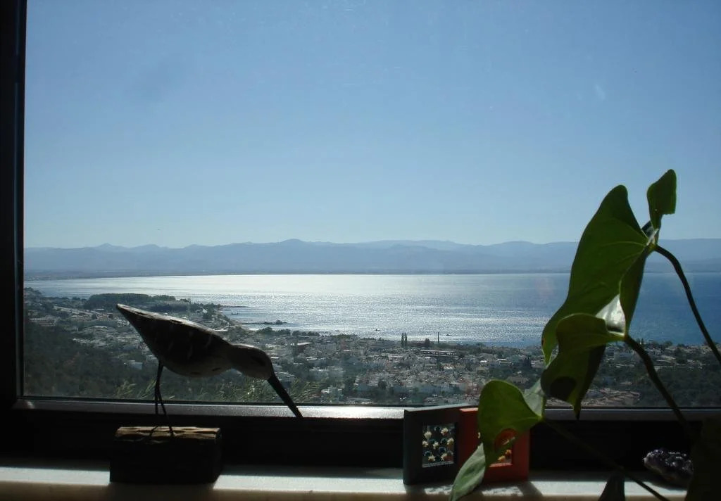 Olivera Villa
