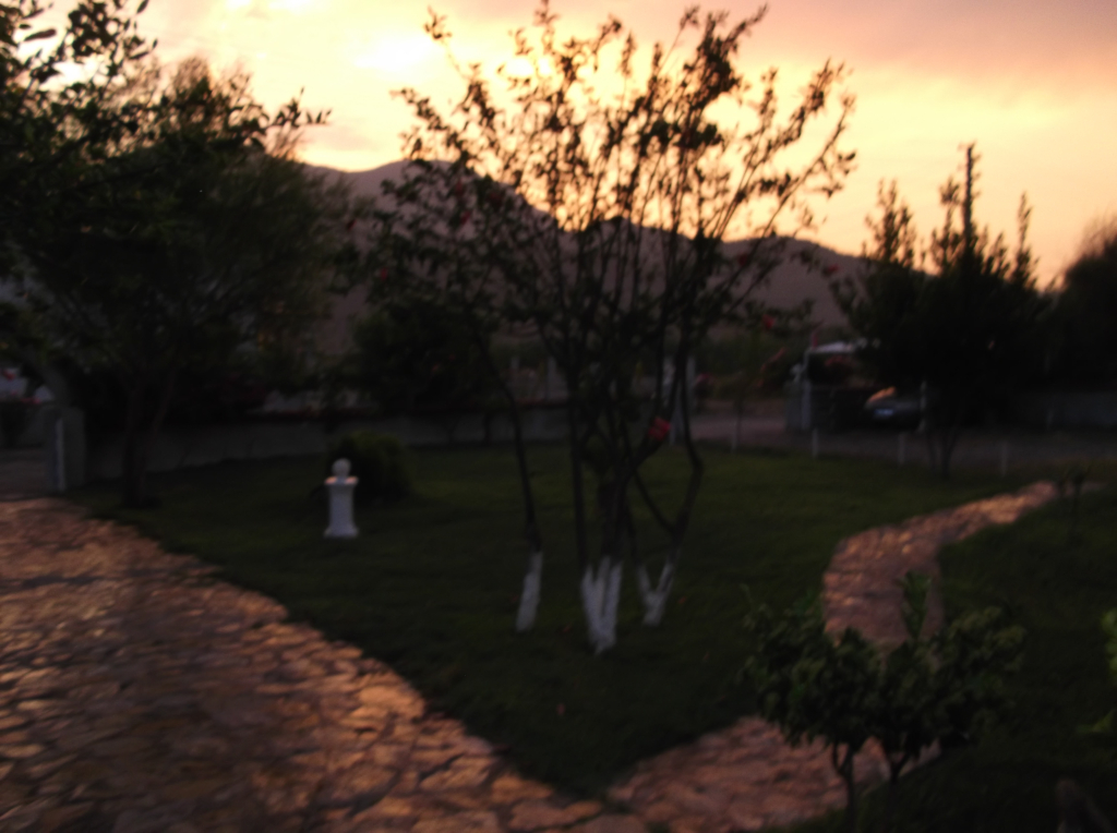 Yavuz Hotel