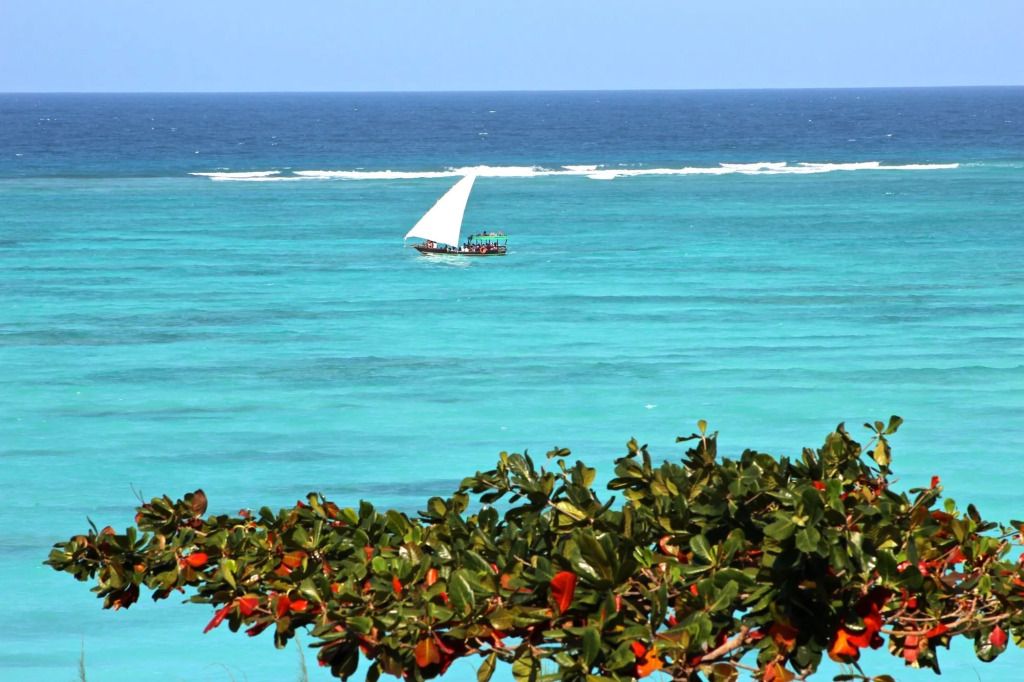 Sazani Beach Lodge and Tidal Lounge