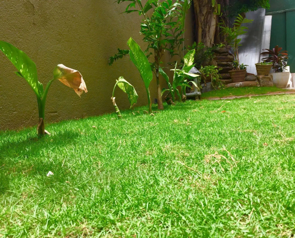 Villa Raha