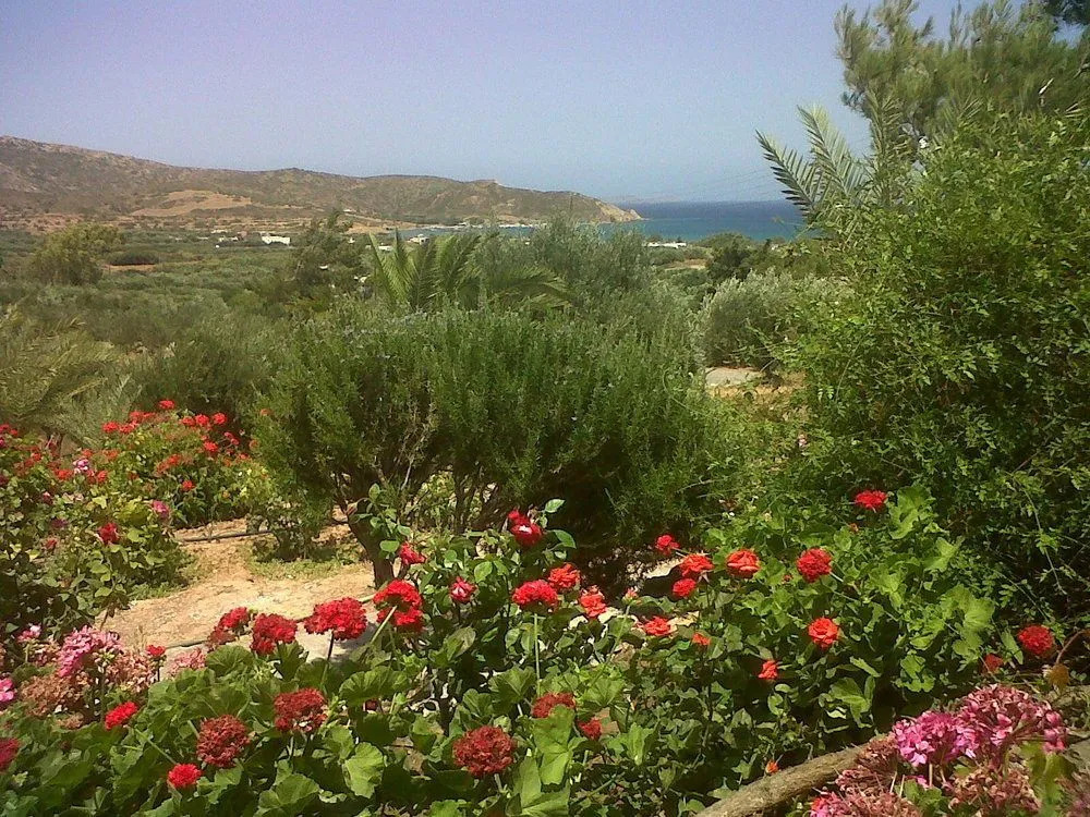 Porto Heli Apartments