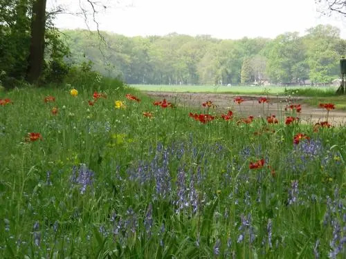 Twentekiek
