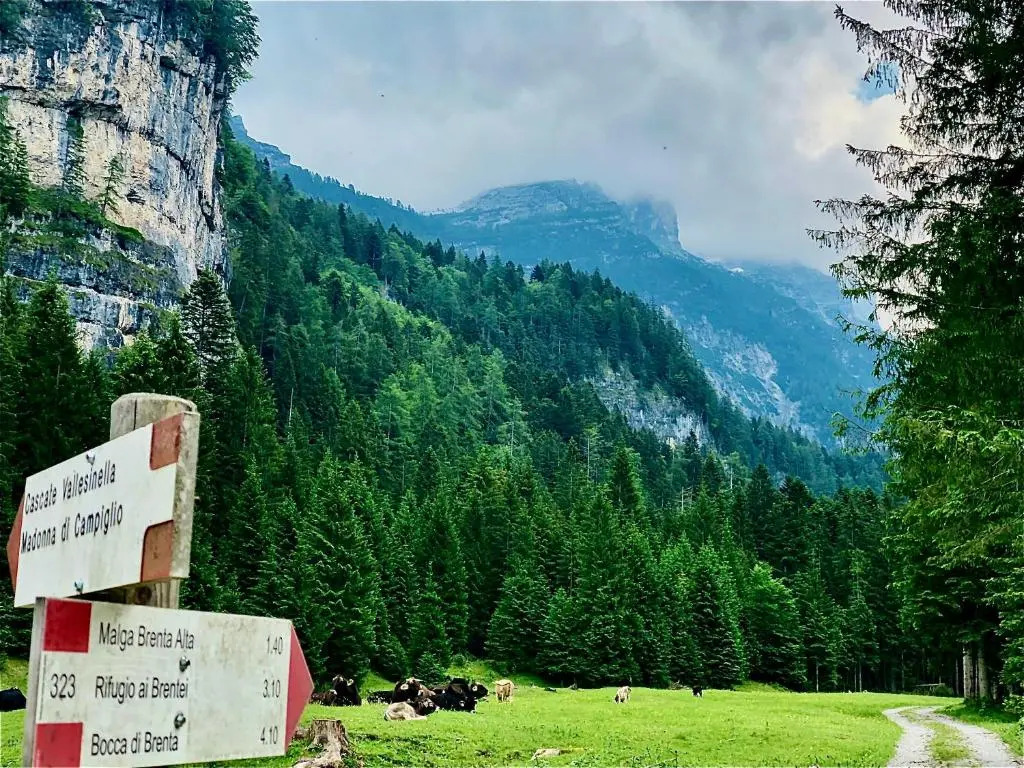 Suite Italy Pinzolo