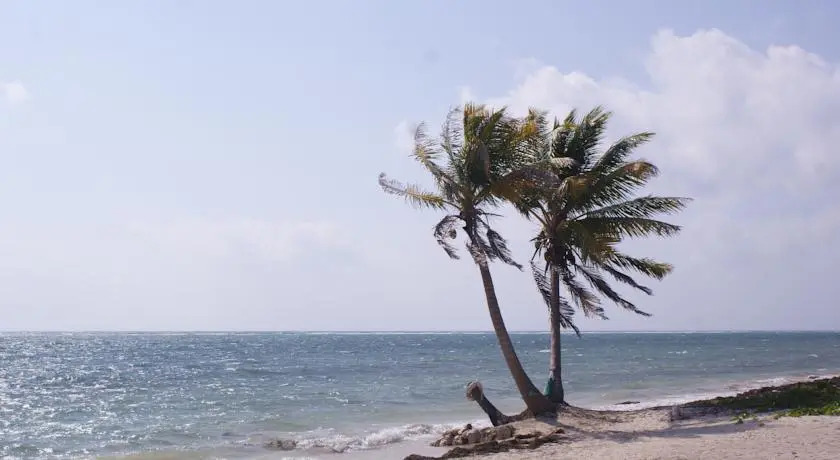 Lunazul