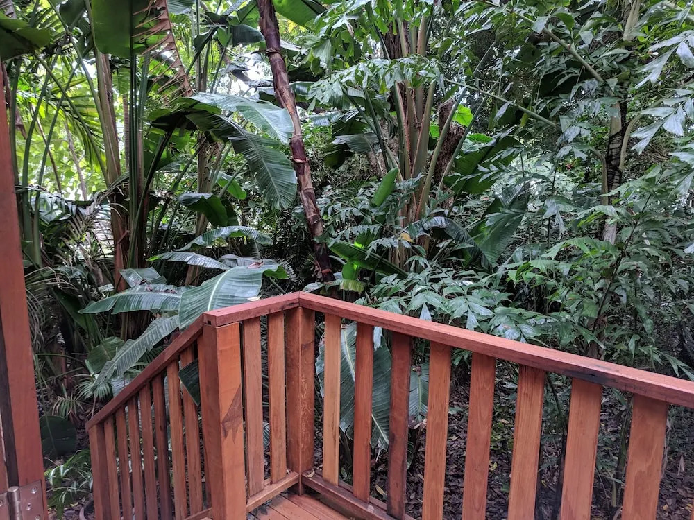 Rain Forest Gem