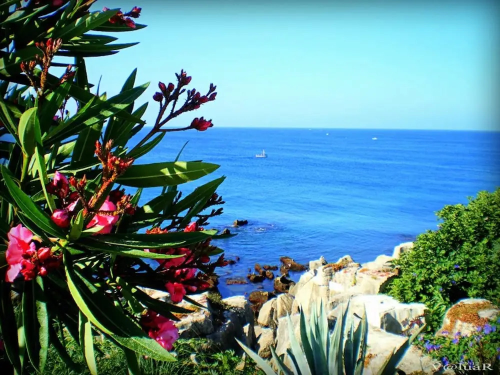Apartment With one Bedroom in Peniche, With Terrace and Wifi - Near the Beach