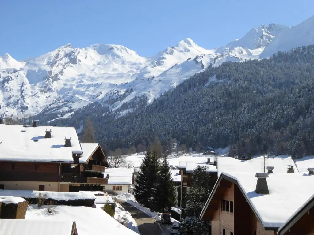 Appartement La Clusaz, 3 pièces, 6 personnes - FR-1-459-40