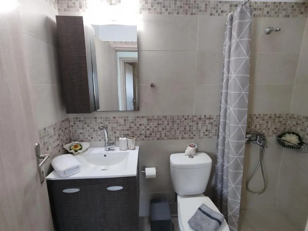 Psaromoura Apartment 2