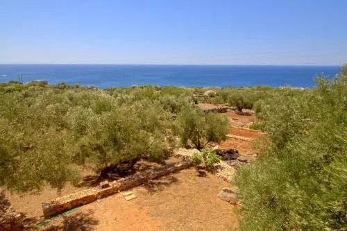 Parco Ulivi Pasuli