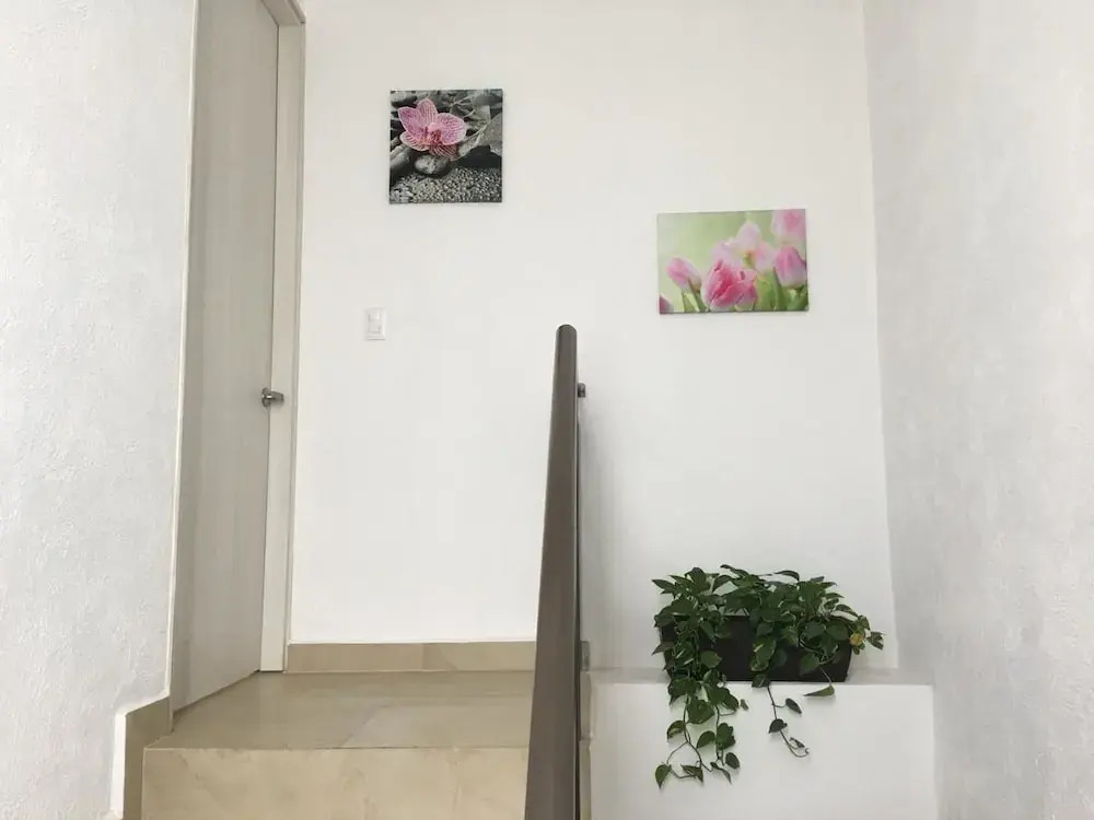 Residencial Xola