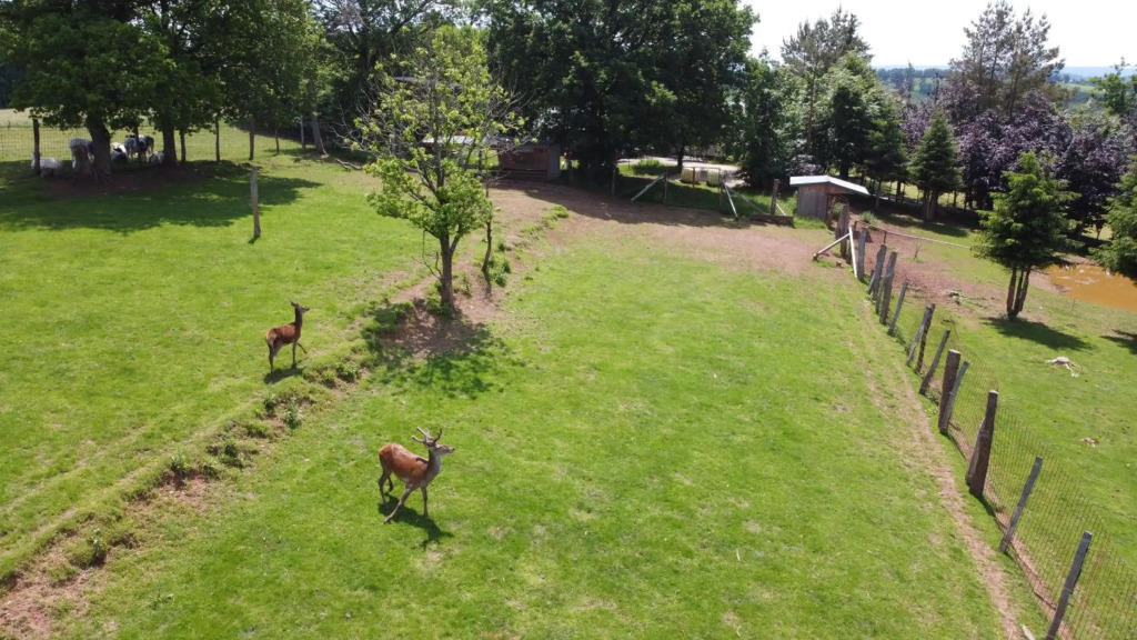 L'Aurore des Hautes Fagnes 30 pers- Malmedy, vue exceptionnelle, wellness