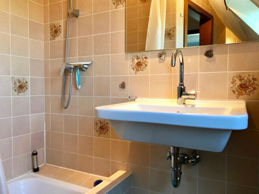 MAL Steinbock _ Ferienwohnung Anni