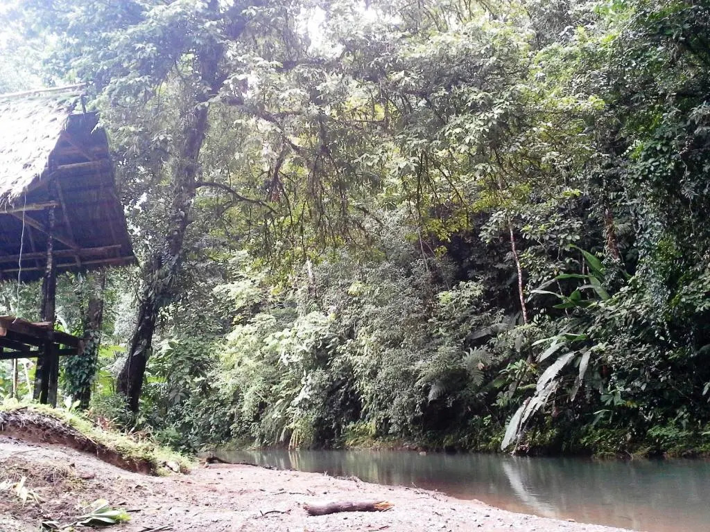 Complejo Ecoturistico Tamandua