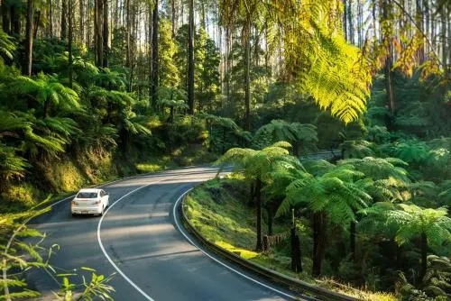 Lithgow Falls Marysville