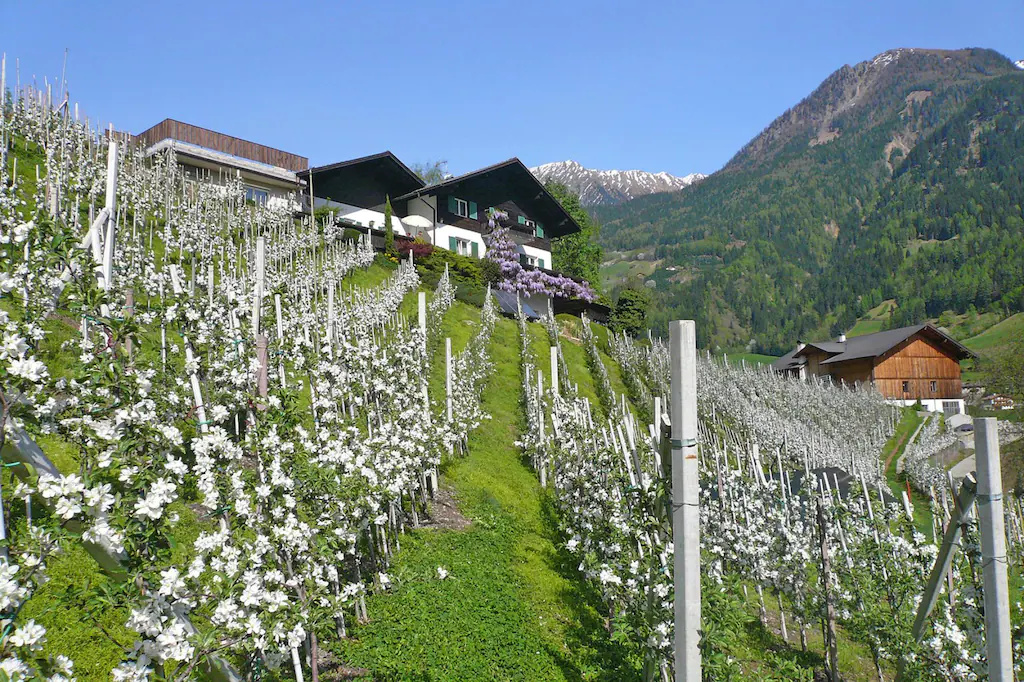 Cosy apartment in the middle of the largest wildlife park in South Tyrol