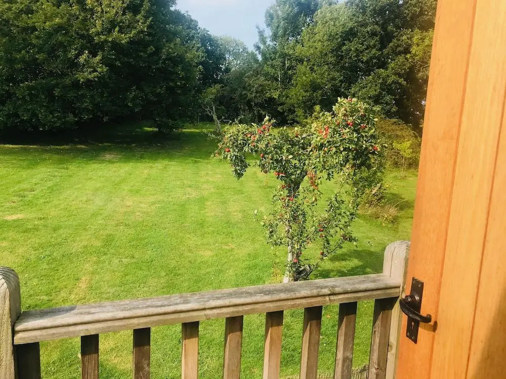 Rosebank B&B
