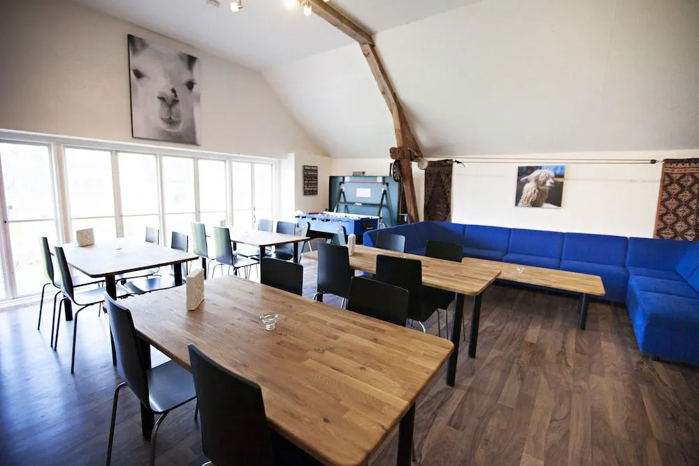 Norrängens Alpacka - Det lilla boutiquehotellet med en fluffy twist