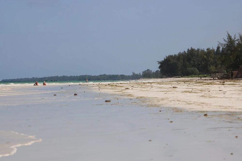 Room in Villa - A Wonderful Beach Property in Diani Beach Kenya, Dream Holiday Place