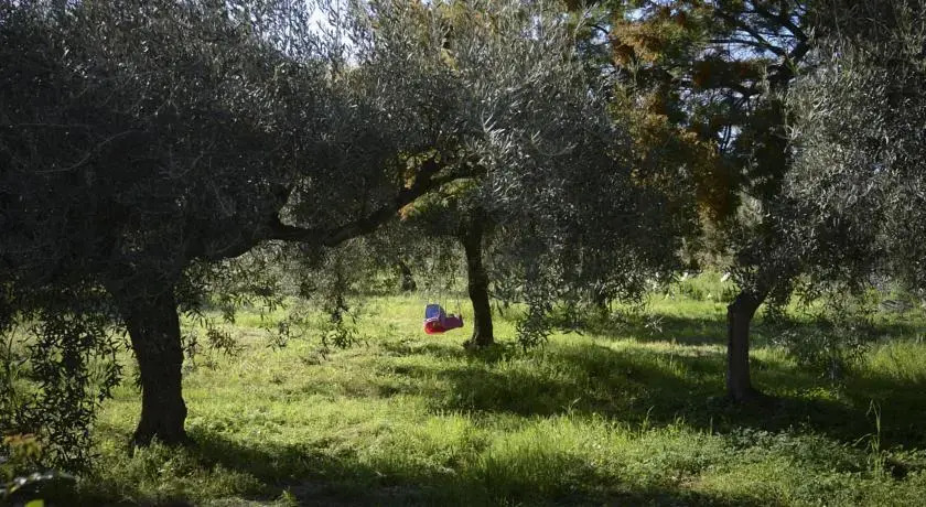 Casa Vacanze i Carcaioli