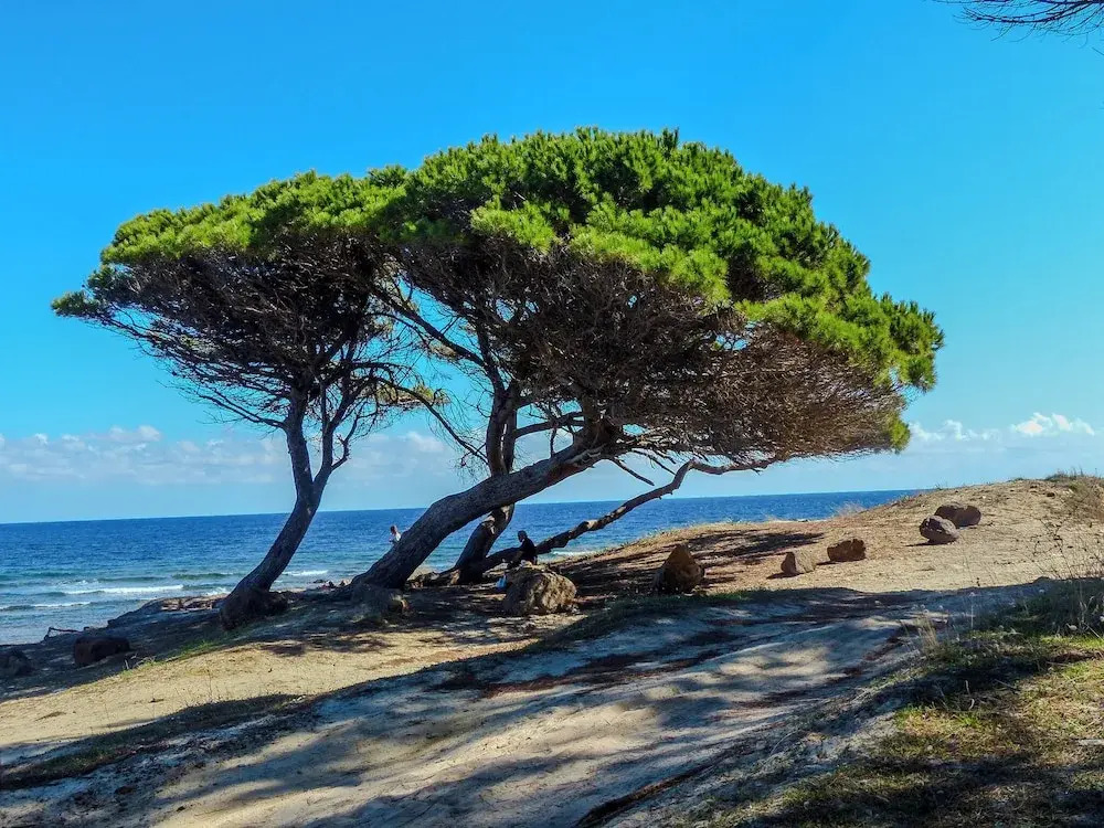Porto Apartments - La Caletta