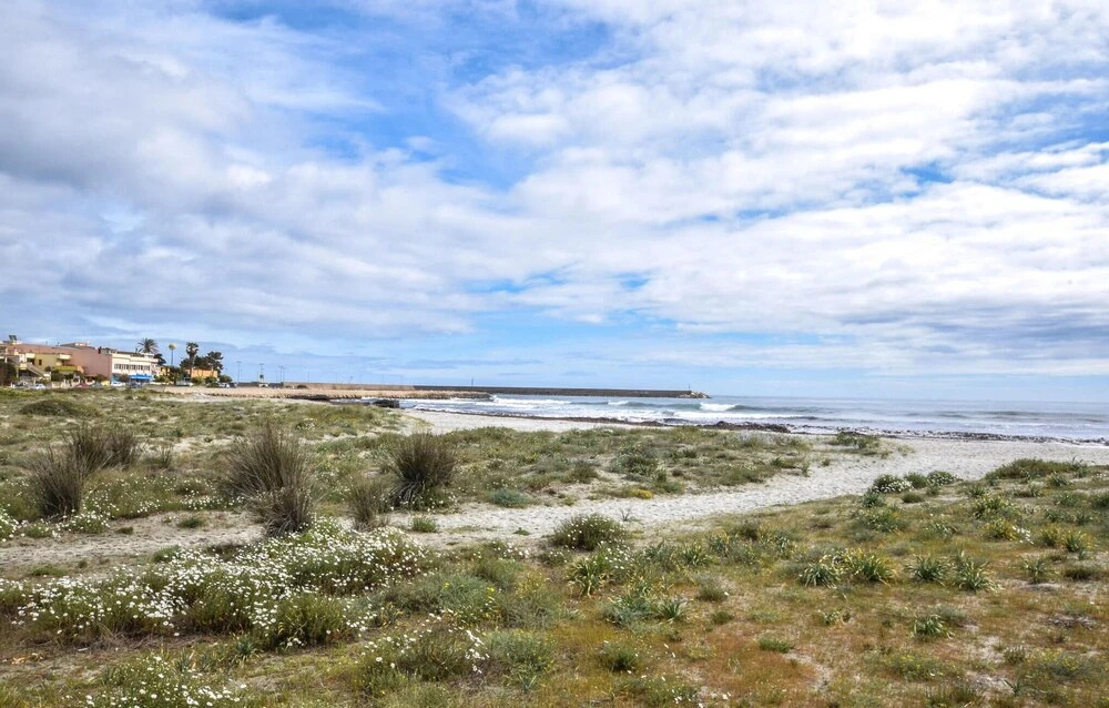Nice Apartment in La Caletta With 2 Bedrooms