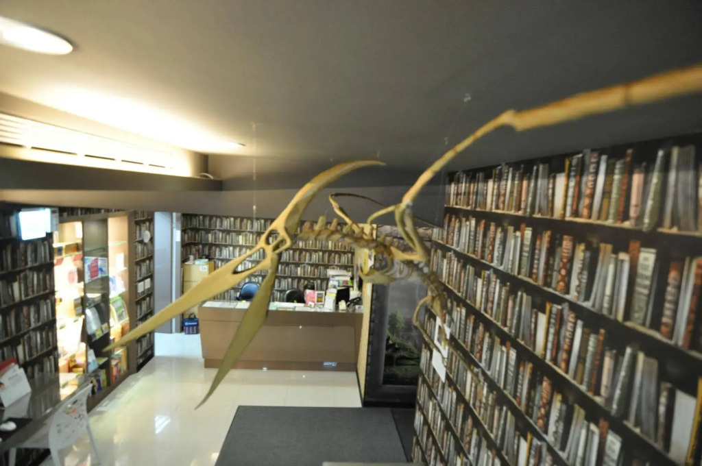 Morwing Hotel Fuzhong