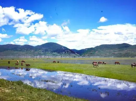 Shangri-La No.1 Bieyuan Boutique Homestay (Dukezong Ancient City Sifang Street Branch)
